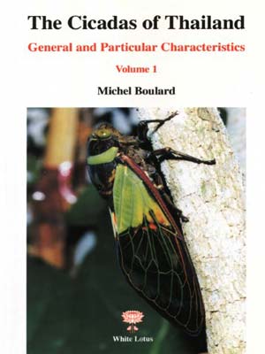 Cicadas of Thailand Vol. 1: General and Particular Characteristics (PB) | By Boulard, Michel (Author) | White Lotus