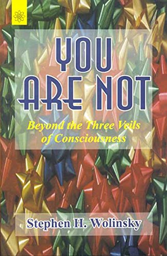 Book cover of You Are Not: Beyond The Three Veils Of Consciousness |Stephen Wolinsky|PB|New Age Books by Stephen Wolinsky