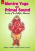 Mantra Yoga and Primal Sound: Secrets of Seed (PB) - By David Frawley (Author) - MLBD Publications