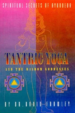 Tantric Yoga and the Wisdom Goddesses: Spiritual Secrets of Ayurveda (PB)- By Dr. David Frawley (author) - MLBD Publications