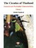 Cicadas of Thailand Vol. 1: General and Particular Characteristics (PB) | By Boulard, Michel (Author) | White Lotus