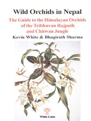Wild Orchids in Nepal